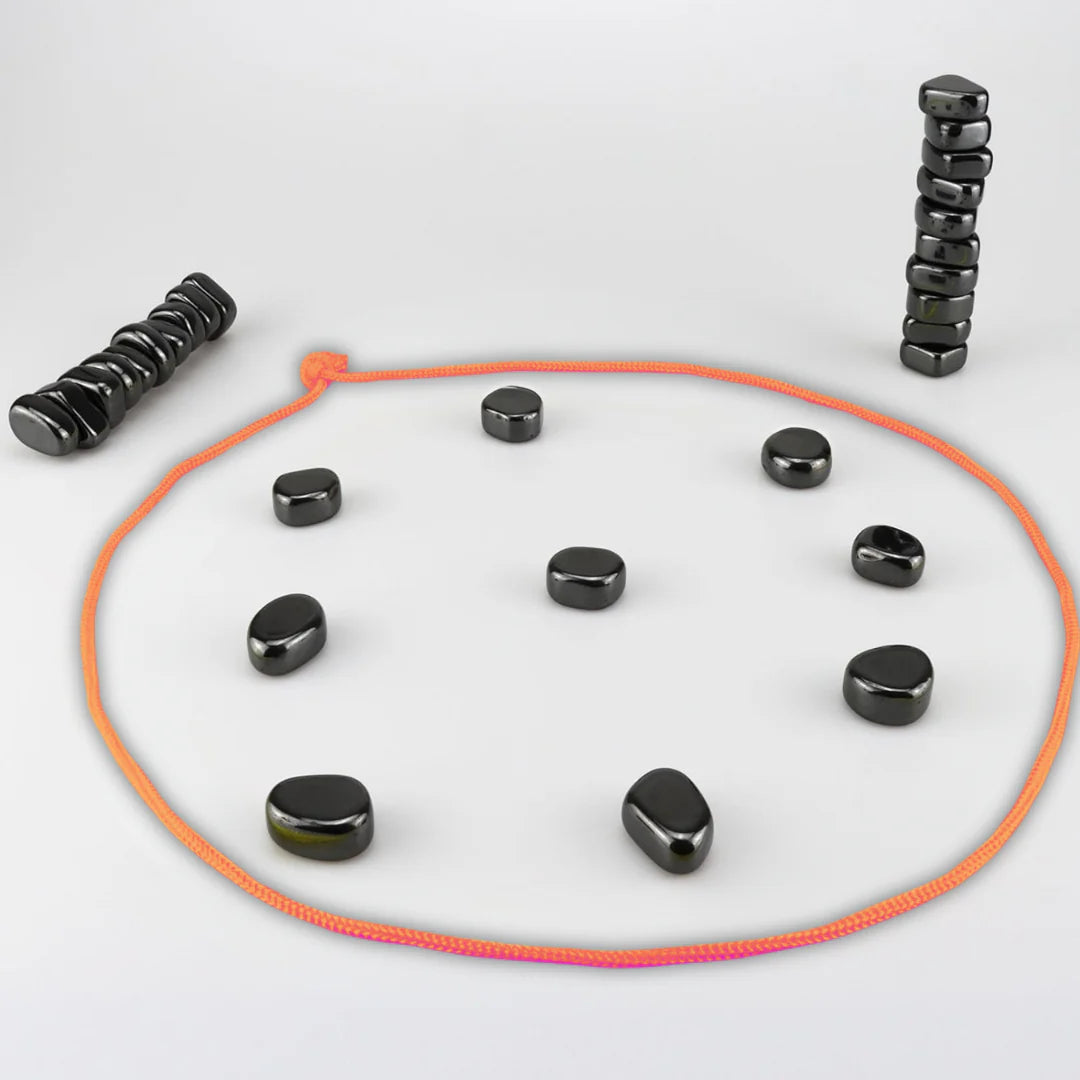 Magnet Schach Familien Spiel