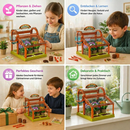 LED Kinder-Gewächshaus aus Acryl – Indoor Pflanzset für spielerisches Lernen & Pflanzenzucht